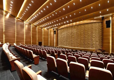 aksa-wood-panels-akustik-ahsap-paneller